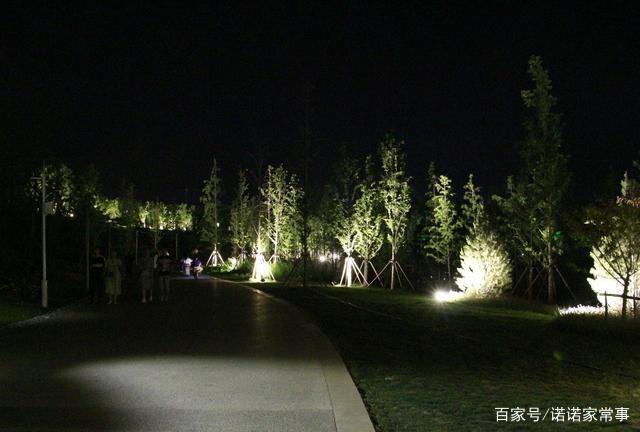 湿地公园灯光夜景最晚几点?现在湿地气温多少度-图2 湿地公园灯光夜景最晚几点?现在湿地气温多少度-图2