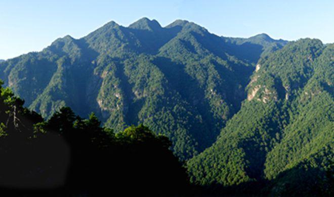 井冈山海拔高度是多少米?井冈山温度和山上温度差多少-图1 井冈山海拔高度是多少米?井冈山温度和山上温度差多少-图1