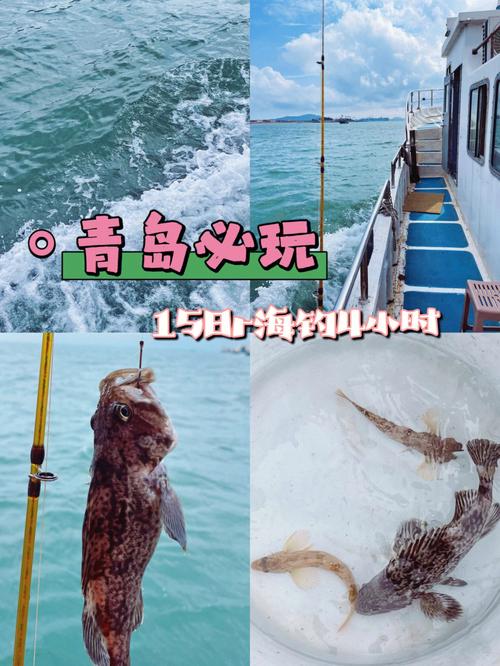 青岛6月份钓什么鱼?六月青岛气温是多少-图3 青岛6月份钓什么鱼?六月青岛气温是多少-图3