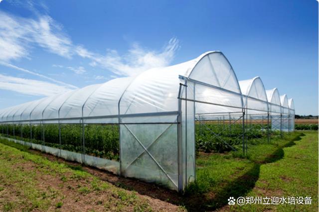 陕西关中适合做温室大棚吗?陕西杨凌冬天最低温度是多少-图1 陕西关中适合做温室大棚吗?陕西杨凌冬天最低温度是多少-图1