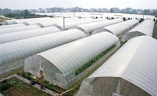陕西关中适合做温室大棚吗?陕西杨凌冬天最低温度是多少-图3 陕西关中适合做温室大棚吗?陕西杨凌冬天最低温度是多少-图3