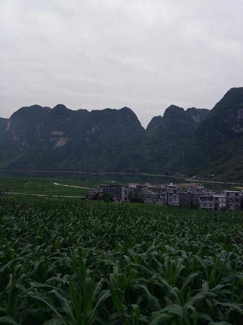 请问巴马县一年四季的天气如何?东兰天气冬天最低温度多少-图1 请问巴马县一年四季的天气如何?东兰天气冬天最低温度多少-图1