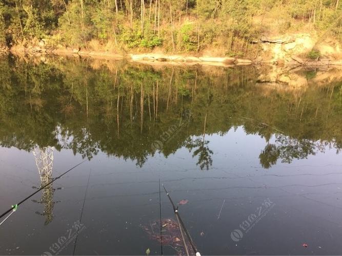 巴中野河垂钓怎么选择最佳钓点?巴中明天的温度是多少-图3 巴中野河垂钓怎么选择最佳钓点?巴中明天的温度是多少-图3
