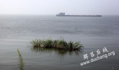 鄱阳湖的特点?都昌气温多少度-图1 鄱阳湖的特点?都昌气温多少度-图1