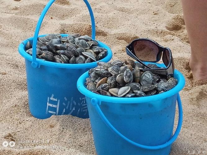 鲅鱼圈退潮赶海的最佳时间?鲅鱼圈今天有雨吗多少度-图3 鲅鱼圈退潮赶海的最佳时间?鲅鱼圈今天有雨吗多少度-图3