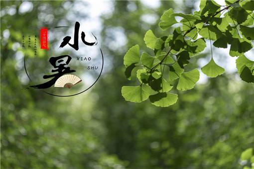 小暑到大暑多少天?大暑天气多少天-图3 小暑到大暑多少天?大暑天气多少天-图3