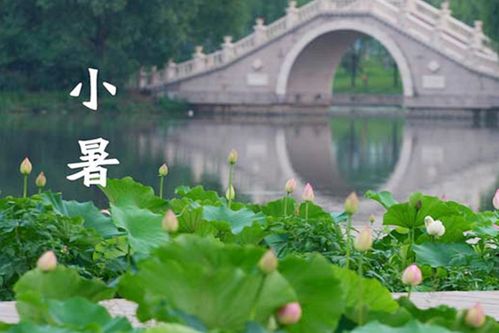 小暑到大暑多少天?大暑天气多少天-图1 小暑到大暑多少天?大暑天气多少天-图1