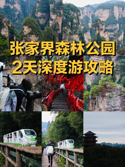 张家界国家森林公园热吗?张家界的十月气温是多少度-图1 张家界国家森林公园热吗?张家界的十月气温是多少度-图1
