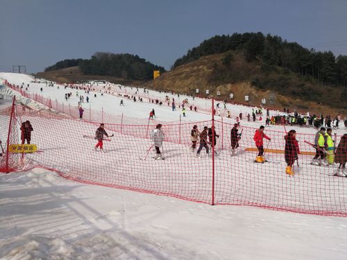曾家山附近的几个值得去的景点?广元曾家山滑雪门票多少钱-图1 曾家山附近的几个值得去的景点?广元曾家山滑雪门票多少钱-图1