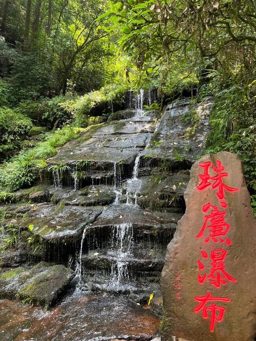 碧峰峡下雨能看见熊猫吗?碧峰峡明天天气多少-图1 碧峰峡下雨能看见熊猫吗?碧峰峡明天天气多少-图1
