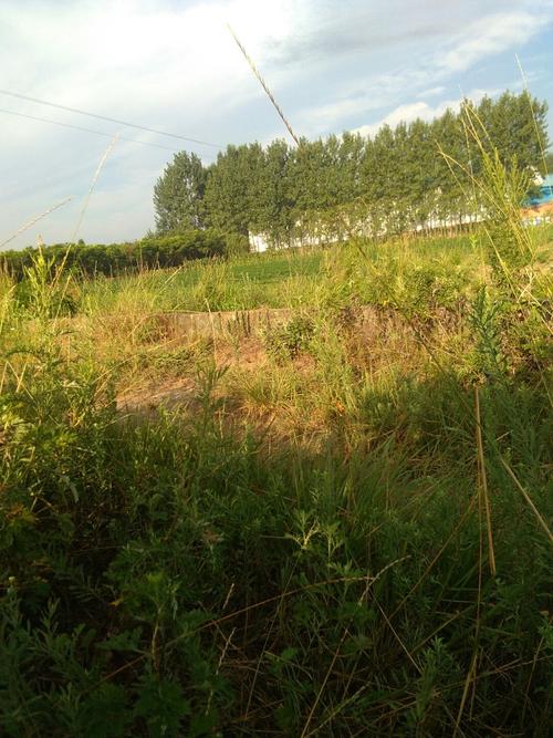 湖北潜江广华到河南省邓州市构林镇有多远?构林离南阳多少公里-图2 湖北潜江广华到河南省邓州市构林镇有多远?构林离南阳多少公里-图2