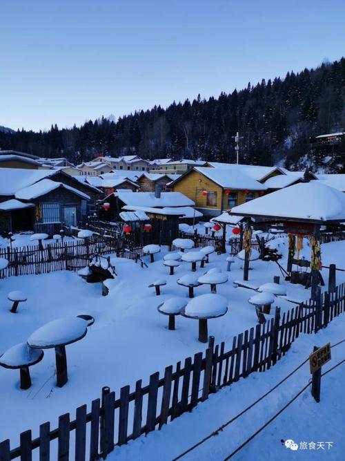 有下雪的地方吗?雪乡最冷的是多少温度-图1 有下雪的地方吗?雪乡最冷的是多少温度-图1