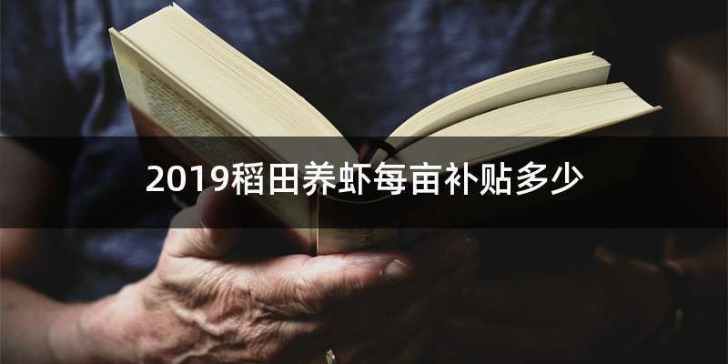 种稻田国家是怎么补贴的?一年稻田种两季补贴多少钱-图2 种稻田国家是怎么补贴的?一年稻田种两季补贴多少钱-图2
