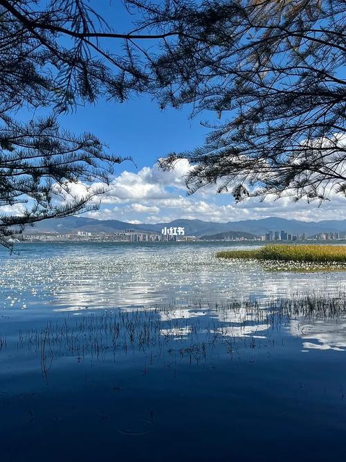 大理的空气是湿润还是干燥啊?大理气候有多少-图2 大理的空气是湿润还是干燥啊?大理气候有多少-图2