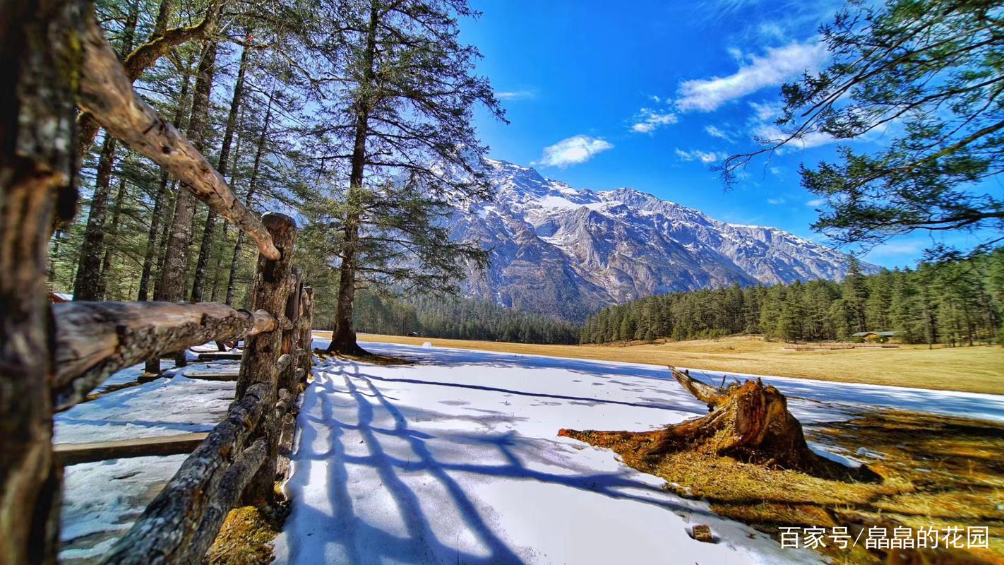 玉龙雪山小镇海拔?玉龙雪山云杉坪海拔高度多少米-图3 玉龙雪山小镇海拔?玉龙雪山云杉坪海拔高度多少米-图3