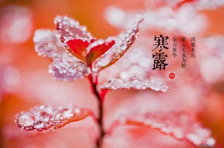 惊蛰16大暑34霜降多少度?秋分到寒露温度大约是多少-图1 惊蛰16大暑34霜降多少度?秋分到寒露温度大约是多少-图1