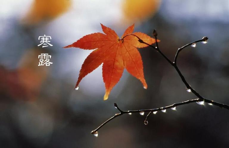 惊蛰16大暑34霜降多少度?秋分到寒露温度大约是多少-图2 惊蛰16大暑34霜降多少度?秋分到寒露温度大约是多少-图2