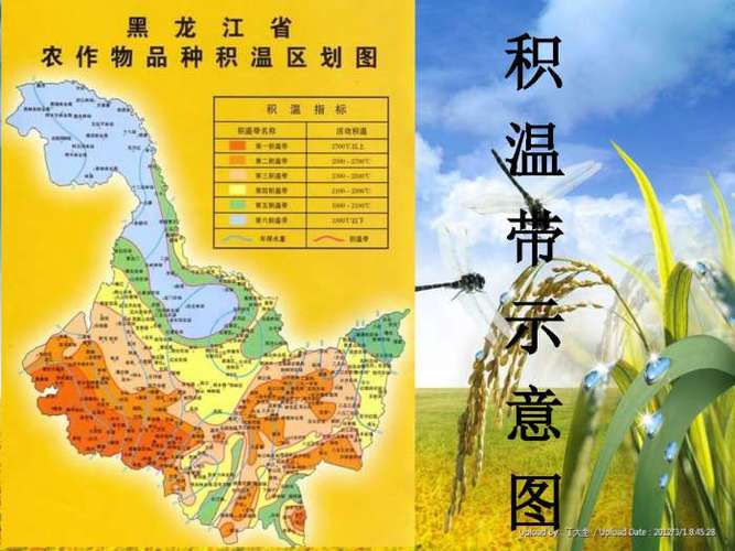 林西县五十家子镇有效积温是多少?积温大于多少适合农业发展-图3 林西县五十家子镇有效积温是多少?积温大于多少适合农业发展-图3