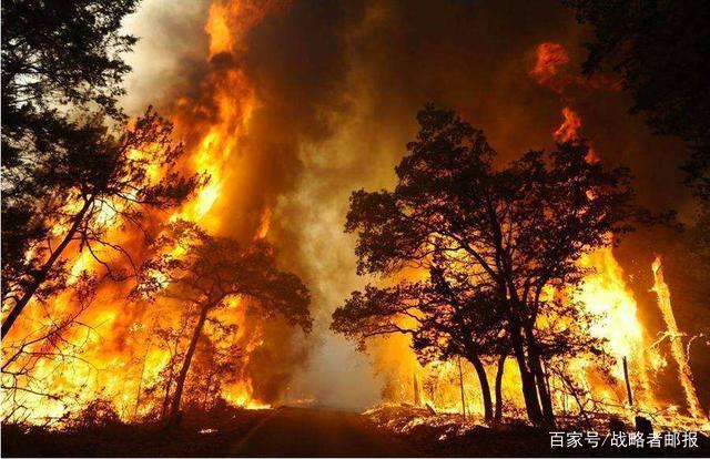 2019年澳大利亚森林大火是厄尔尼诺引起的吗?2019年全球森林火灾多少超-图1 2019年澳大利亚森林大火是厄尔尼诺引起的吗?2019年全球森林火灾多少超-图1