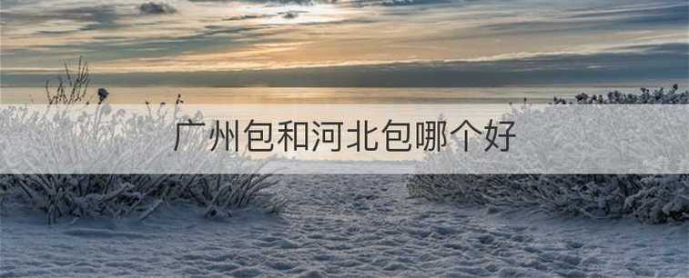 广州包和河北包哪个好?河北白沟做包一个月多少钱-图1 广州包和河北包哪个好?河北白沟做包一个月多少钱-图1