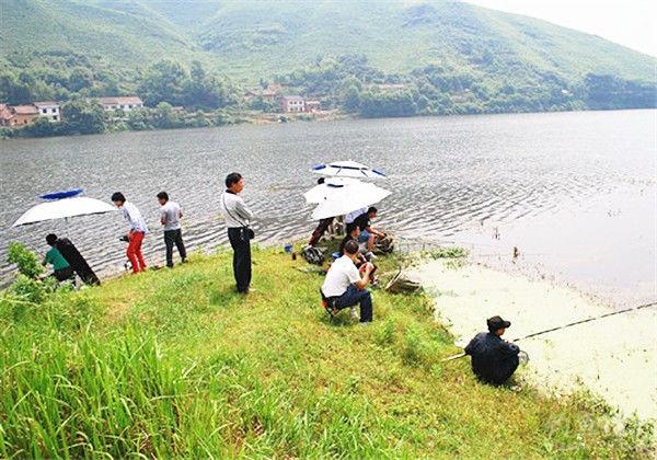 临湘野钓钓点推荐?临湘到白羊田镇多少人口-图1 临湘野钓钓点推荐?临湘到白羊田镇多少人口-图1