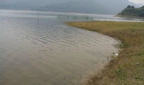 临湘野钓钓点推荐?临湘到白羊田镇多少人口-图3 临湘野钓钓点推荐?临湘到白羊田镇多少人口-图3
