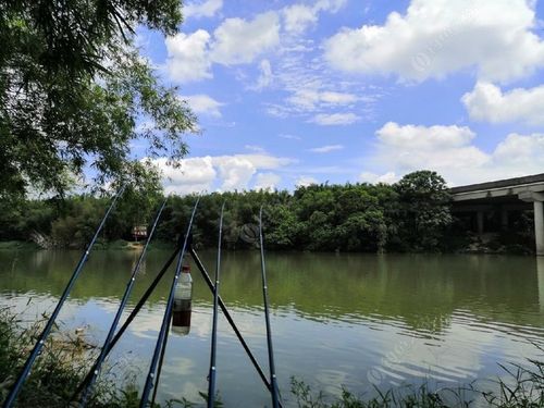 临湘野钓钓点推荐?临湘到白羊田镇多少人口-图2 临湘野钓钓点推荐?临湘到白羊田镇多少人口-图2