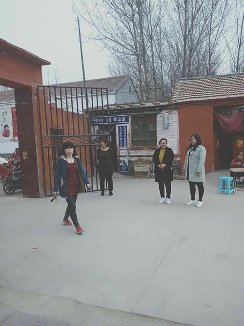 大名县张集乡有多少人口？太康县张集镇多少人口-图2