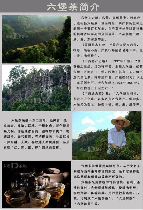 六堡茶名字起源?梧州市至六堡镇有多少公里-图1 六堡茶名字起源?梧州市至六堡镇有多少公里-图1