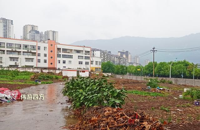 江北区换驾驶证的地方?开州云枫城清水房多少一平-图1 江北区换驾驶证的地方?开州云枫城清水房多少一平-图1