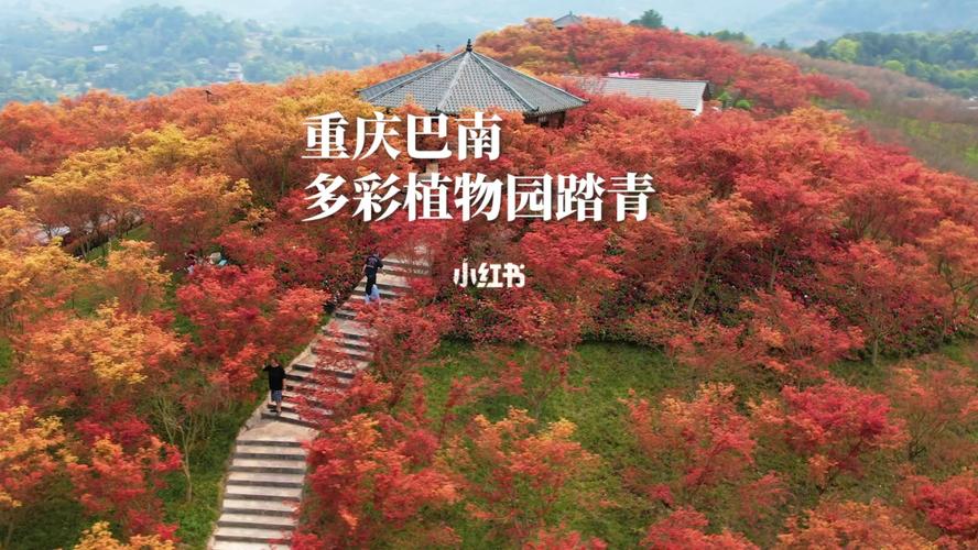 三月重庆旅游穿戴注意事项?重庆染雾霾紫多少钱-图3 三月重庆旅游穿戴注意事项?重庆染雾霾紫多少钱-图3