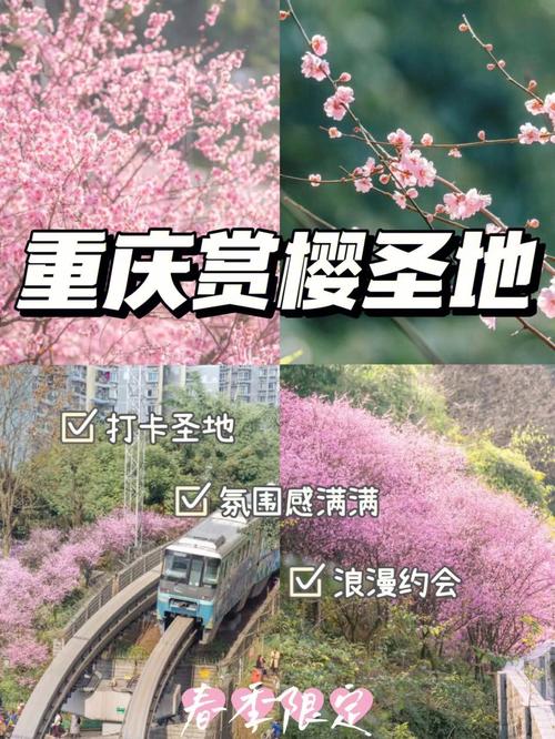 三月重庆旅游穿戴注意事项?重庆染雾霾紫多少钱-图2 三月重庆旅游穿戴注意事项?重庆染雾霾紫多少钱-图2