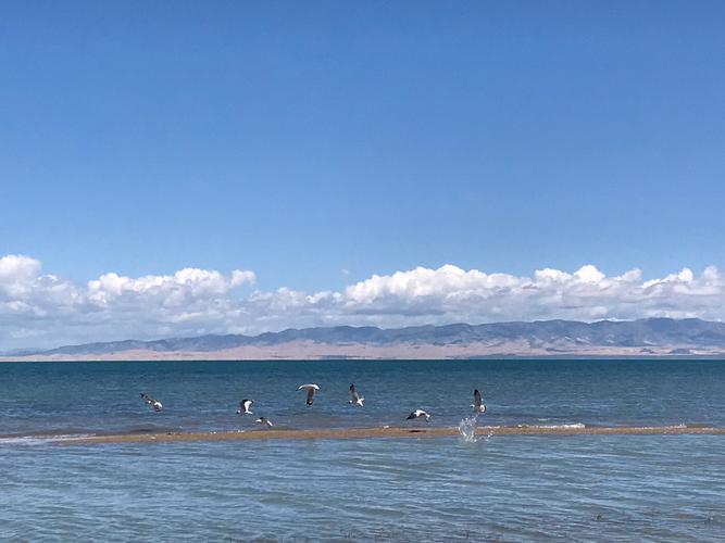 8月西宁青海湖旅游温度?西宁8月温度多少-图3 8月西宁青海湖旅游温度?西宁8月温度多少-图3