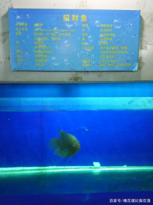 沈阳动物园有热水吗?水族馆室温度多少-图1 沈阳动物园有热水吗?水族馆室温度多少-图1