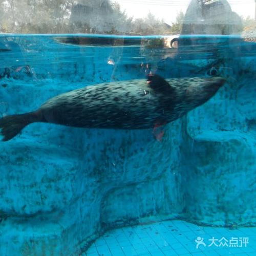 沈阳动物园有热水吗?水族馆室温度多少-图3 沈阳动物园有热水吗?水族馆室温度多少-图3