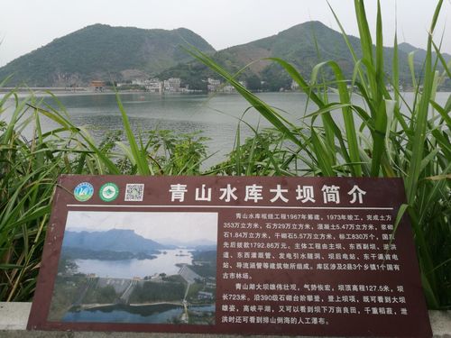 隽水河可以钓鱼吗?崇阳青山水库水深多少米-图1 隽水河可以钓鱼吗?崇阳青山水库水深多少米-图1