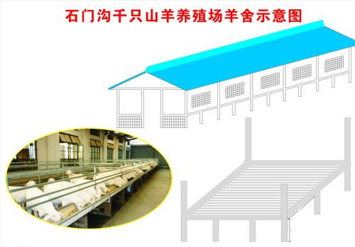 冬季怎样增加羊圈的温度?羊圈的温度一般在多少度合适-图3 冬季怎样增加羊圈的温度?羊圈的温度一般在多少度合适-图3