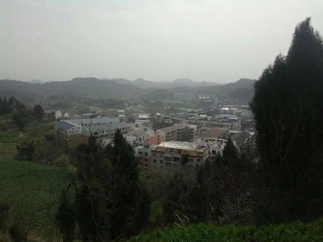 四川省遂宁市射洪县仁和镇天宫村邮编是什么?射洪明星镇邮编是多少-图1 四川省遂宁市射洪县仁和镇天宫村邮编是什么?射洪明星镇邮编是多少-图1