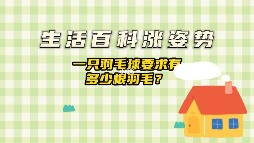 羽毛球有多少根羽毛?已知羽毛球上大约有多少只羽毛-图3 羽毛球有多少根羽毛?已知羽毛球上大约有多少只羽毛-图3