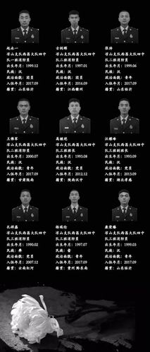 木里森林牺牲人员名单?四川省森林火灾死亡多少人-图3 木里森林牺牲人员名单?四川省森林火灾死亡多少人-图3