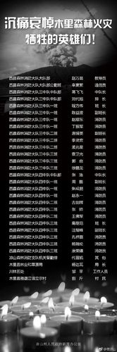 木里森林牺牲人员名单?四川省森林火灾死亡多少人-图2 木里森林牺牲人员名单?四川省森林火灾死亡多少人-图2
