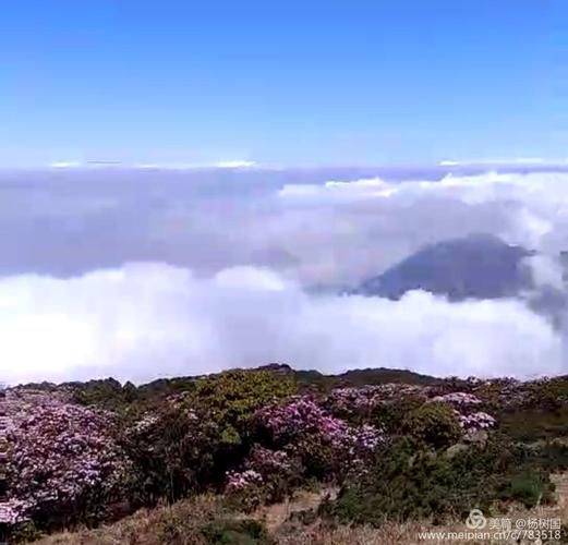攀枝花到会理外北龙肘山有多少公里?会理县龙肘山海拔多少米-图1 攀枝花到会理外北龙肘山有多少公里?会理县龙肘山海拔多少米-图1