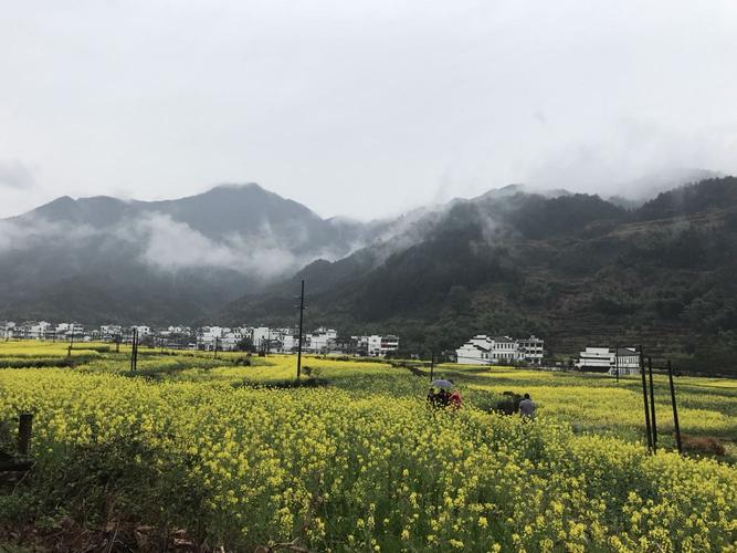 4月初去婺源穿什么衣服?安徽省婺源县气温是多少度-图2 4月初去婺源穿什么衣服?安徽省婺源县气温是多少度-图2