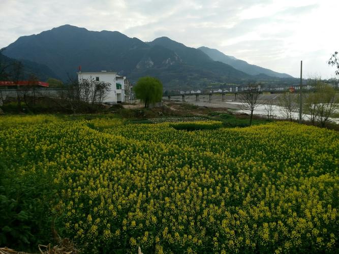 陕西省汉中市西乡县桑园镇上有没有出租车?汉中到桑园跑一趟多少钱-图1 陕西省汉中市西乡县桑园镇上有没有出租车?汉中到桑园跑一趟多少钱-图1
