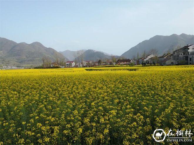 陕西省汉中市西乡县桑园镇上有没有出租车?汉中到桑园跑一趟多少钱-图3 陕西省汉中市西乡县桑园镇上有没有出租车?汉中到桑园跑一趟多少钱-图3