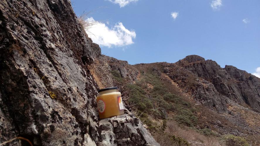 河北的正一派道观有哪些?大理剑川老君山镇邮编是多少-图2 河北的正一派道观有哪些?大理剑川老君山镇邮编是多少-图2