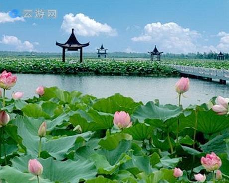 宁国市内哪里有荷花景点?宁国市夏霖风景区门票多少钱-图3 宁国市内哪里有荷花景点?宁国市夏霖风景区门票多少钱-图3