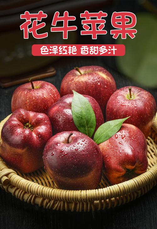 2021年花牛苹果采摘时间?磐安镇苹果多少钱一个斤-图1 2021年花牛苹果采摘时间?磐安镇苹果多少钱一个斤-图1