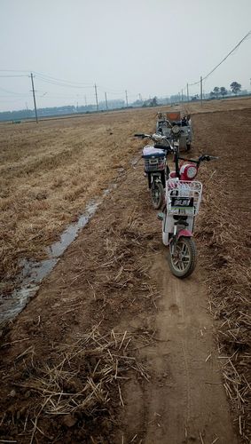 河北省邯郸市大名县有多少人?大名到万堤多少公里-图1 河北省邯郸市大名县有多少人?大名到万堤多少公里-图1
