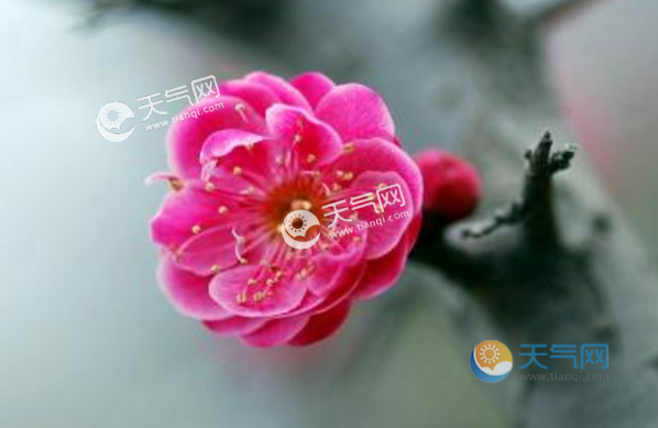 2022立春温度一般升到多少?立春天温度一般是多少度-图1 2022立春温度一般升到多少?立春天温度一般是多少度-图1
